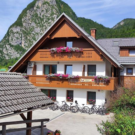 Apartmaji Mojca Бохин Екстериор снимка